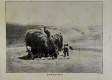 1917 - alter Druck - Heuernte in den Bergen